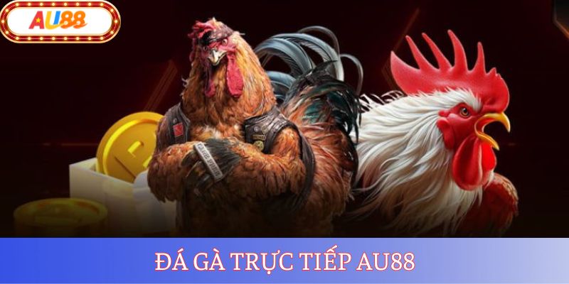 Đá Gà AU88 – Giải Trí Chất Lượng Số 1 Hiện Nay