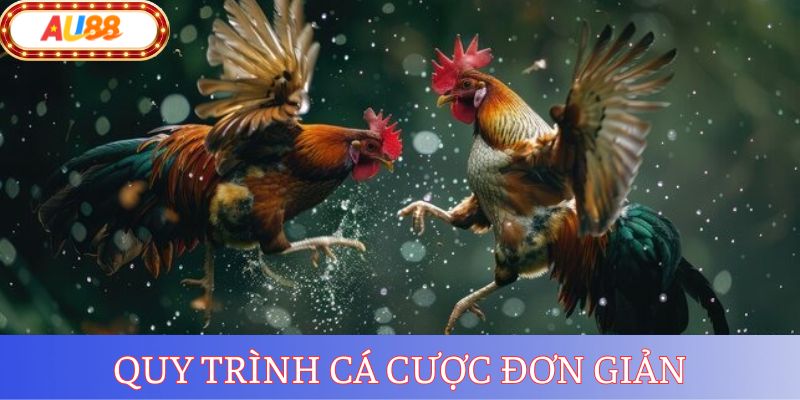 Hướng dẫn newbie các bước chơi đá gà AU88 dễ dàng tại nhà