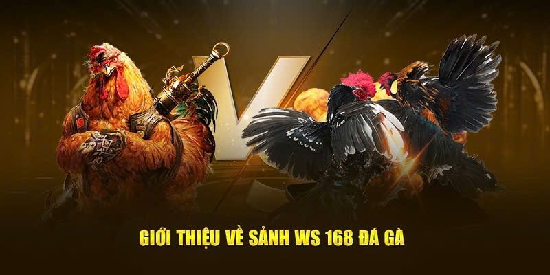 WS168 Đá Gà – Sảnh Giải Trí Quốc Tế Đẳng Cấp Hàng Đầu